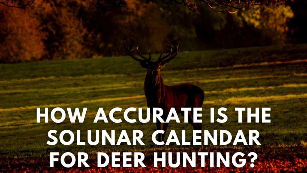 How Accurate Is The Solunar Calendar For Deer Hunting? Deer Hunting Life