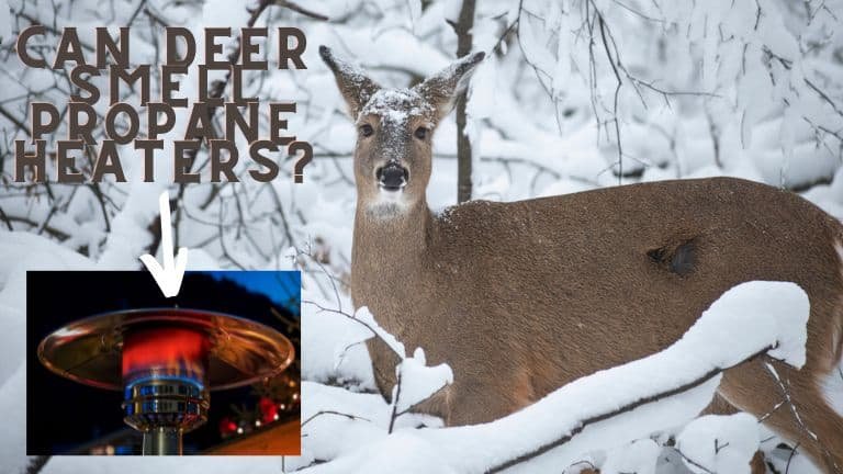 can deer smell propane heaters