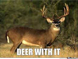 Deer hunting meme Deer Hunting Memes: The Funniest, Most Relatable & Shareable Hunting Humor Online